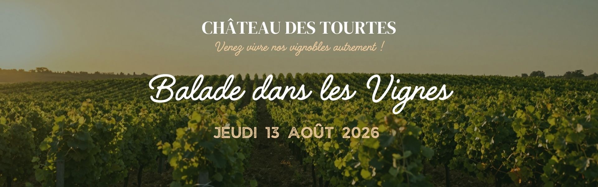Balade vignes